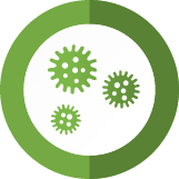 Black Mold Abatement Pros