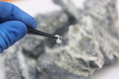Asbestos Assessment in Somerset County, NJ