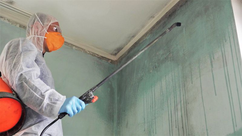 Attic Mold Remediation in Dallas, TX