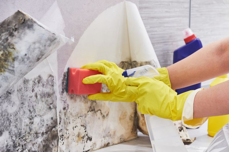 Basement Mold Removal in Essex County, NJ