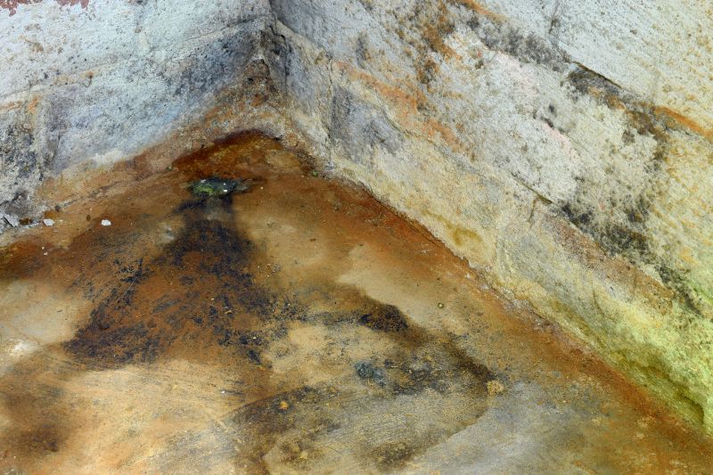 Black Mold in Basements