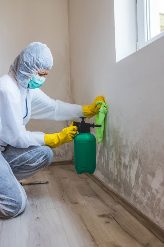 Crawl Space Mold Removal in Dallas, TX