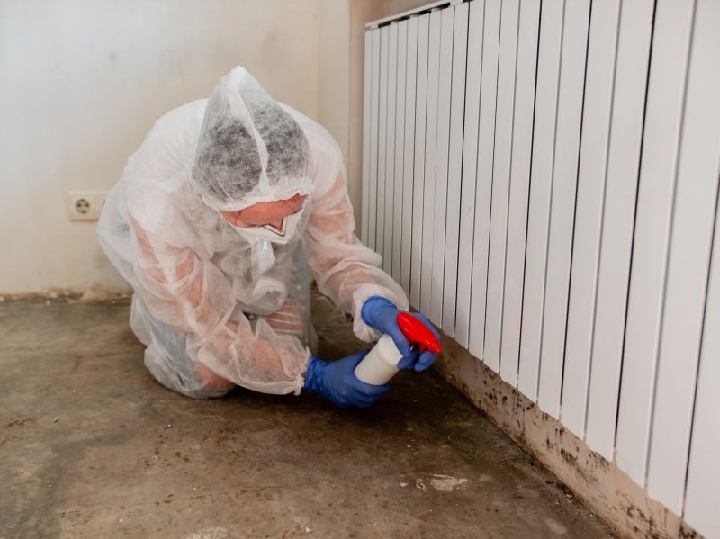 Crawl Space Mold Removal in Fort Lauderdale, FL