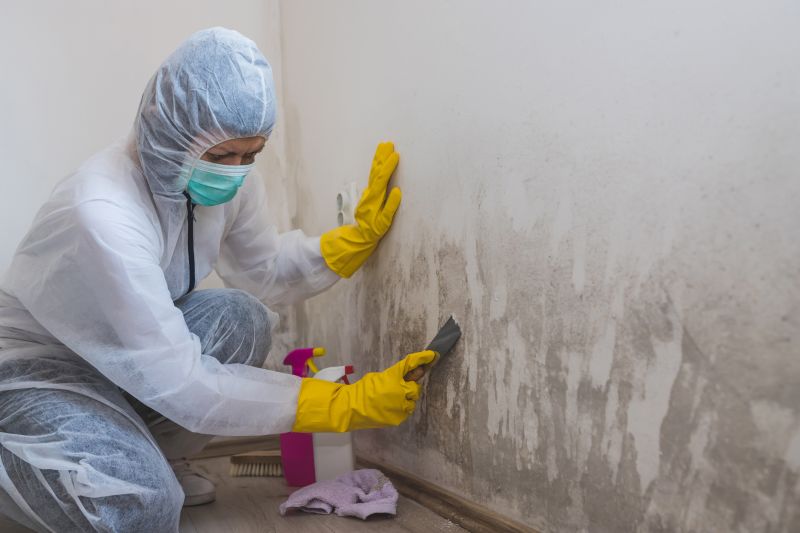 Mold Cleanup Service in West Palm Beach, FL