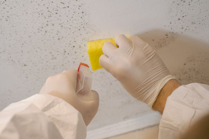 Mold Cleanup Service in Essex County, NJ