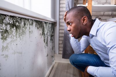 Mold Detection in Rockwall, TX