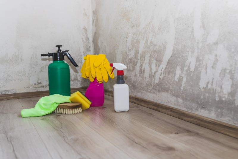 Mold Mitigation Service in Jupiter, FL