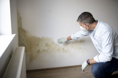 Mold Mitigation Service in Fort Worth, TX