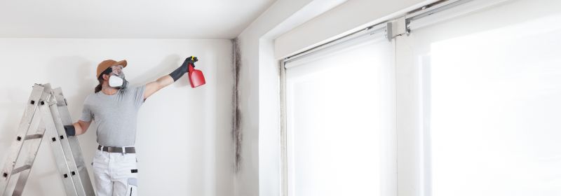 Mold Mitigation Service in Fort Lauderdale, FL