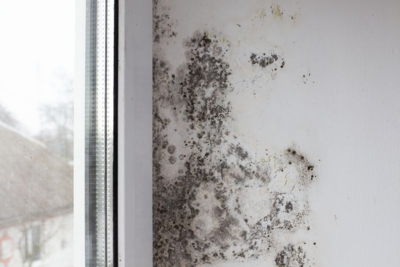 Mold Removal in Fort Worth, TX