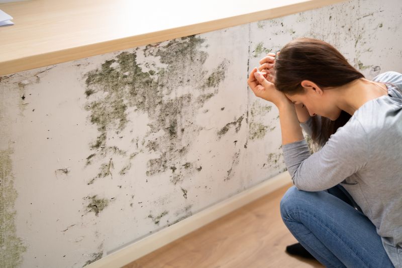 Mold Removal in Dallas, TX