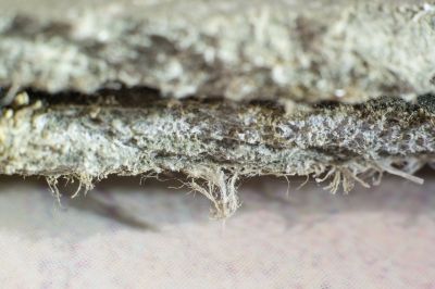Vermiculite Remediation in Freehold, NJ