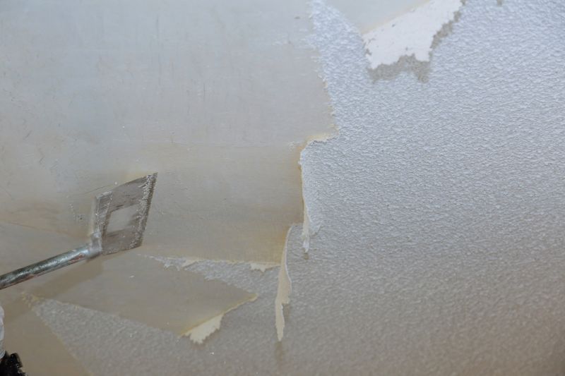 Vermiculite Removal Service in Monmouth County, NJ