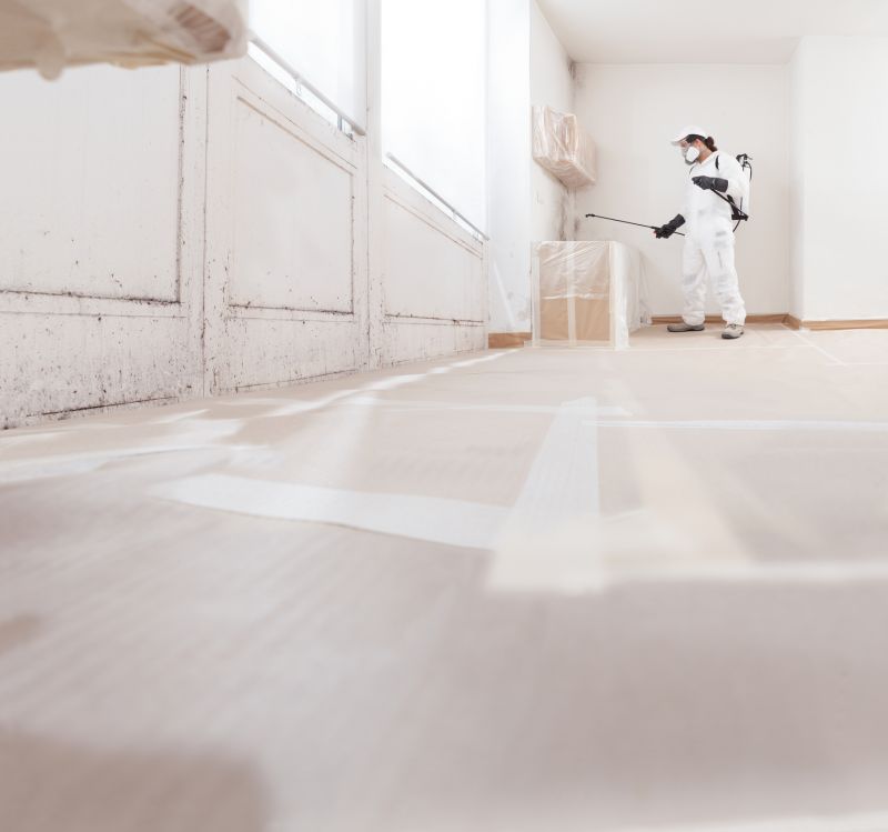 White Mold Mitigation in West Palm Beach, FL