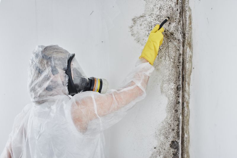 Certified Mold Remediation Experts