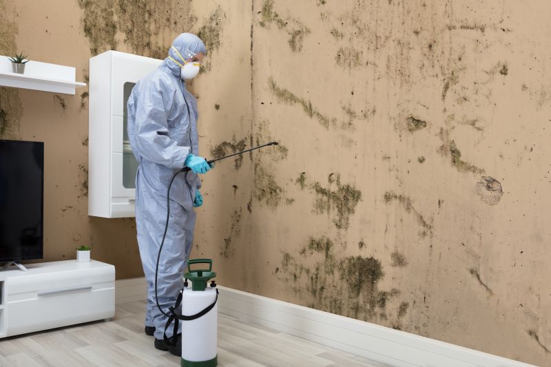 Mold Abatement in Broward County, FL