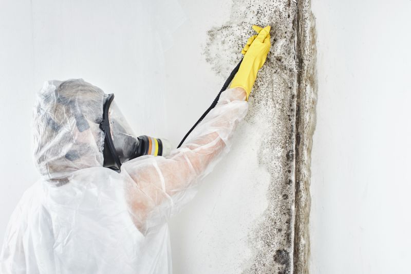 Mold Control in Dallas, TX