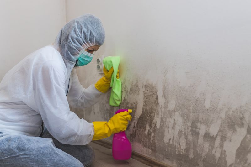 Mold Removal in West Palm Beach, FL